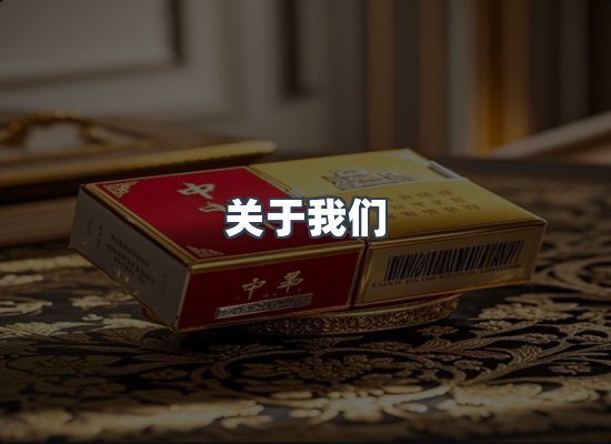 专业团队